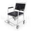 Silla sanitaria asiento blando y piecero FT703