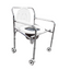 Silla sanitaria con ruedas FT700
